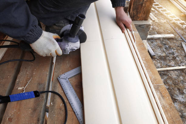 Best Steel Siding Installation  in Valley Falls, KS
